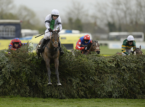 Pineau-De-Re-grand-national.jpg
