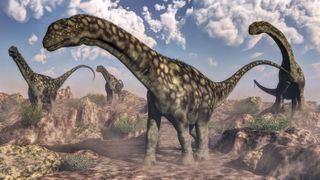 Argentinosaurus dinosaurs walking in the rocky desert. Could Argentinosaurus have sported an even longer neck than anyone thought?