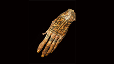 A disembodied mummified left hand has tattoos in black ink on the lower part of the fingers as well as on the back of the hand, in the shape of cresting waves