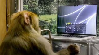 Neuralink demonstrating telepathic typing with a monkey