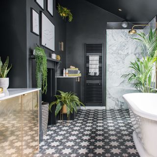 grey bathroom with houseplants, metallic cabinet and patterned tile floor