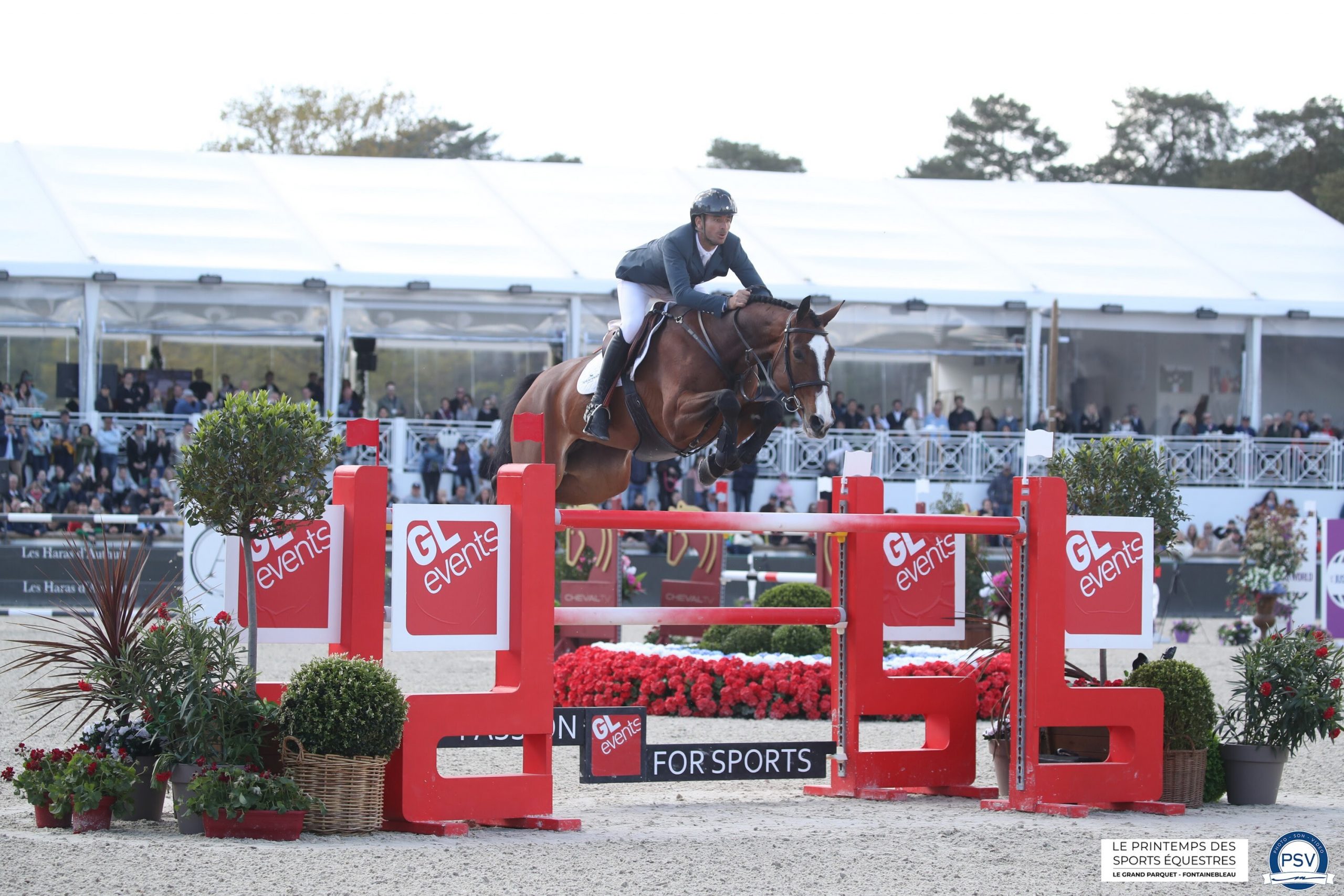 Steve Guerdat wins with Dynamix De Belheme in Fontainebleau