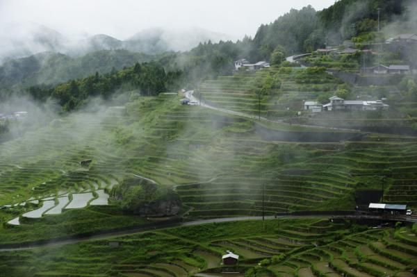 Maruyama rice terraces in the rain