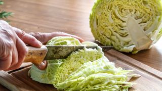 Chopping cabbage with a knife