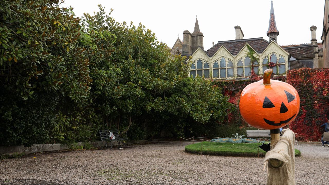 Example image of a garden