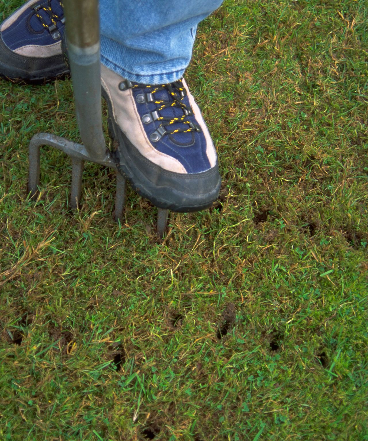 When to aerate a lawn experts reveal the definitive answer Gardeningetc