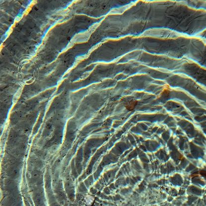 Lovehoney Magic Wand review