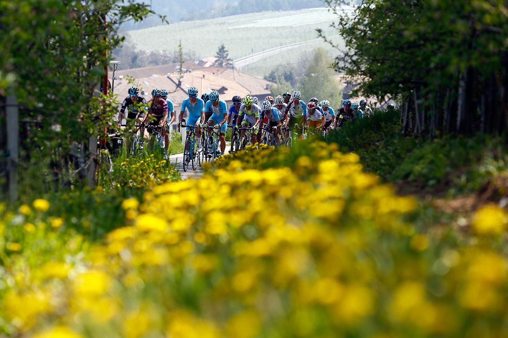 The peloton in action during the final stage at Giro del Trentino