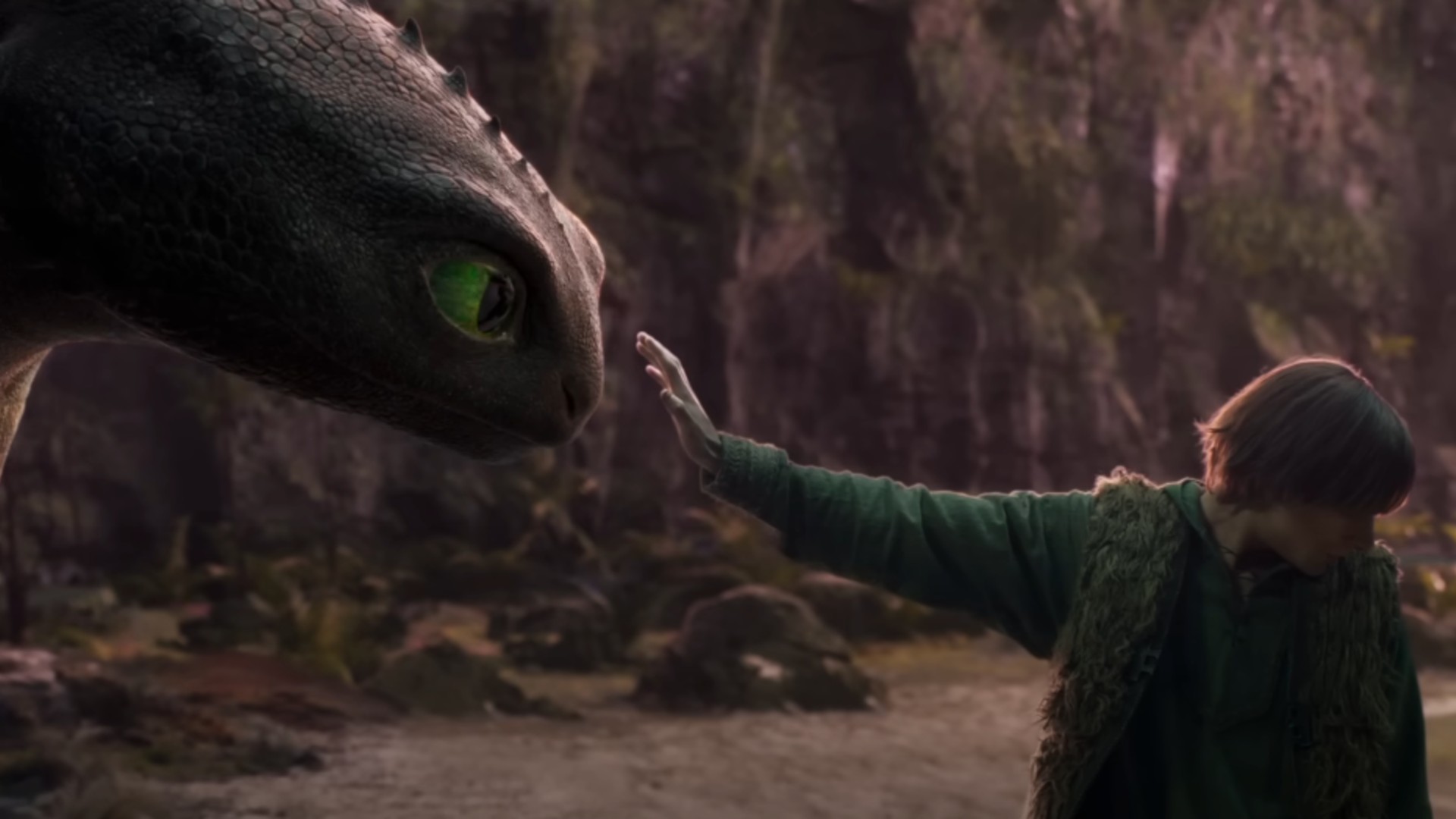 Los fanáticos de Cómo entrenar a tu dragón elogian el tráiler de la película de acción real desde dientes a pesar de las preocupaciones iniciales sobre su diseño.