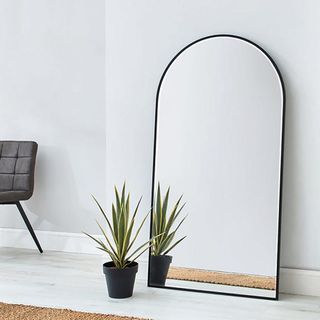 leaner mirror with plant
