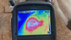 eye-temperature.jpg