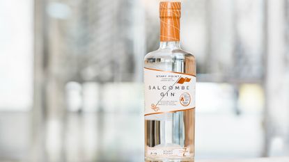 salcombe gin