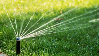 A sprinkler system watering the lawn