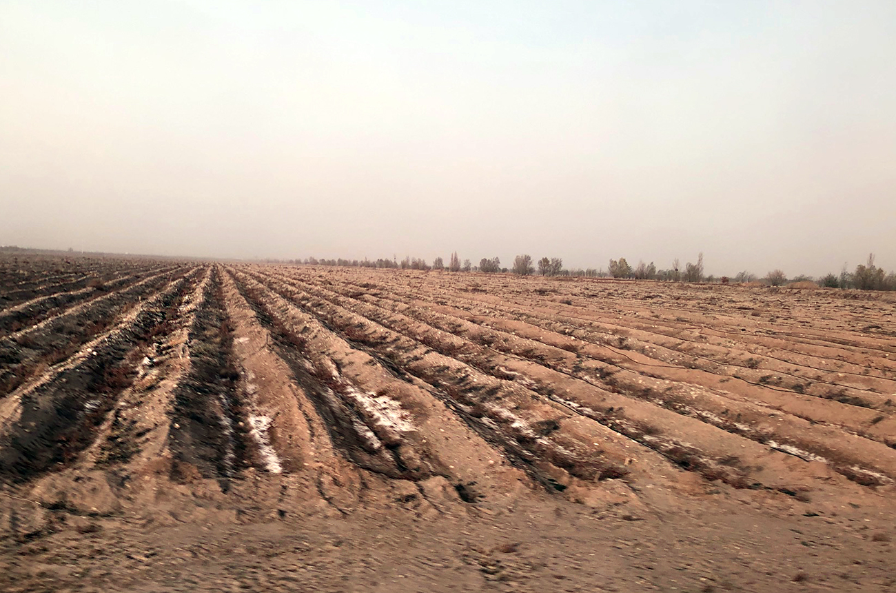 Ningxia-vineyards-soil-salt.jpg