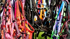 JP9XCG Burgham, Morpeth, Northumberland, UK. 28/29th July 2017. Eventers compete at Burgham International Horse Trials in the disciplines of Dressage, Showju