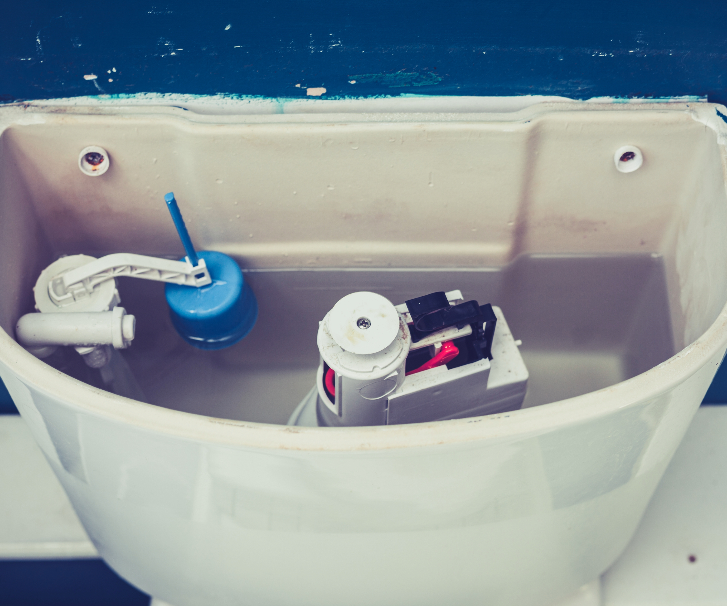 Inside an open toilet cistern