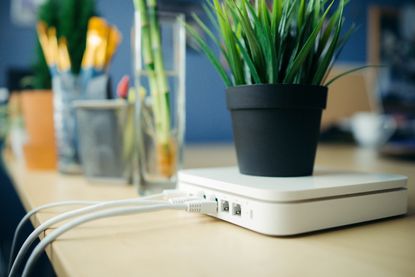 Broadband deal: Shutterstock image of plant pot sitting on Wi-Fi box