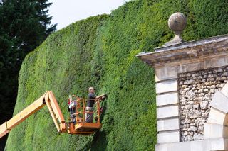 Bathurst Estate hedge