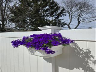 A white fence with a fence planter containing purple flowers