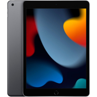 Apple iPad 10.2-inch (9th gen) – 64GB, Space Gray:&nbsp;was $329.99, now $249.99 at Best Buy