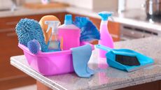cleaning products, cloth, spray and dustpan and brush