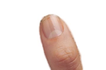 Why Do We Have Fingernails? | Live Science