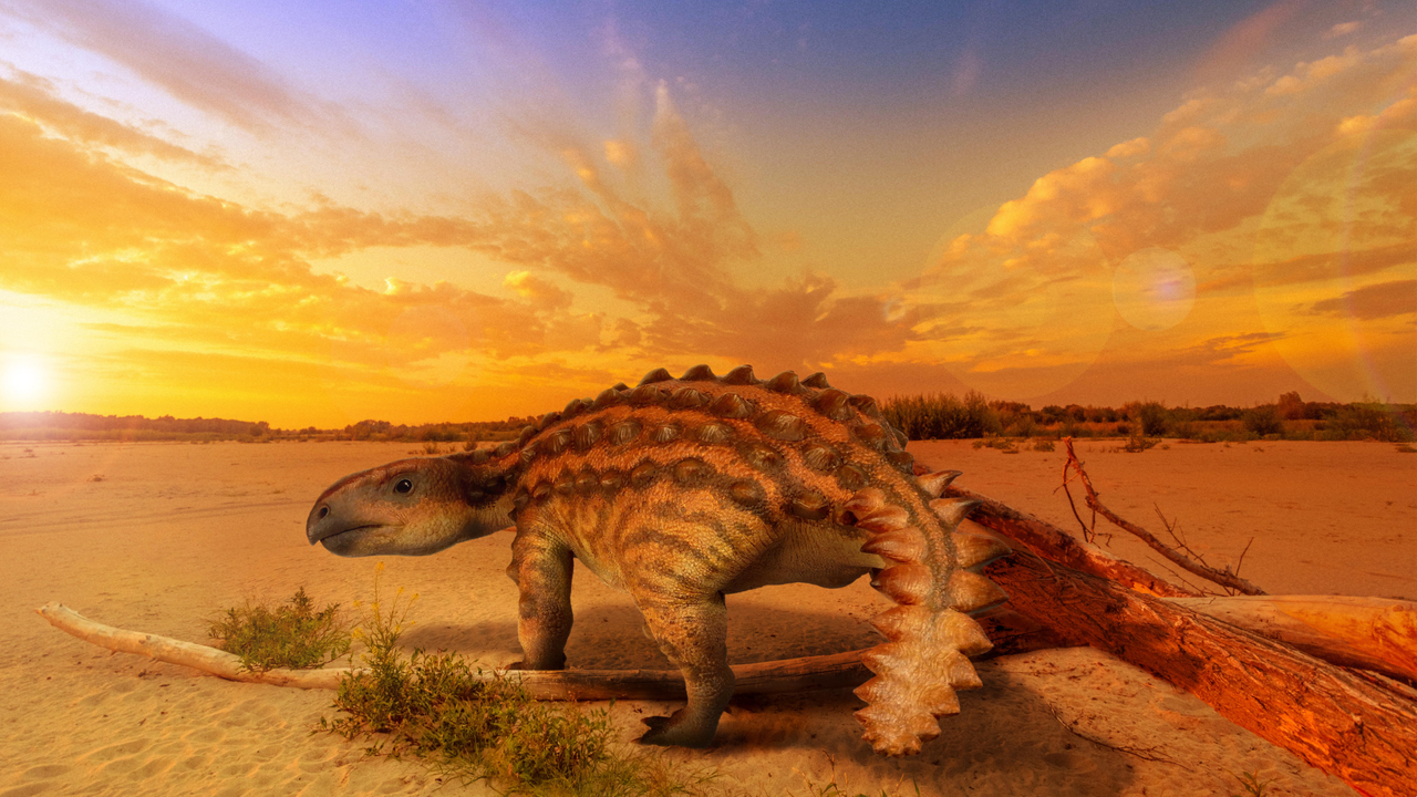 A 3D sculpture of Stegouros elengassen shows the armored dinosaur's curved beak, slender limbs and fern frond-like tail.
