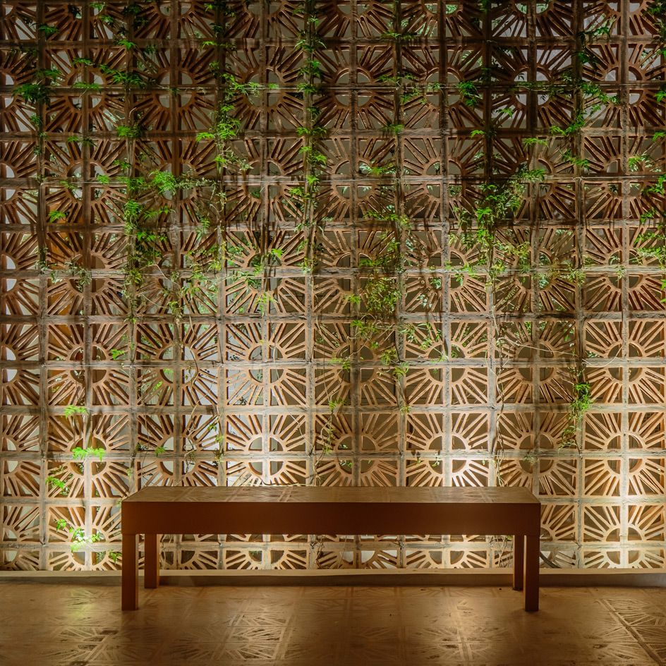 Timber benches and a pergola with climbing plants