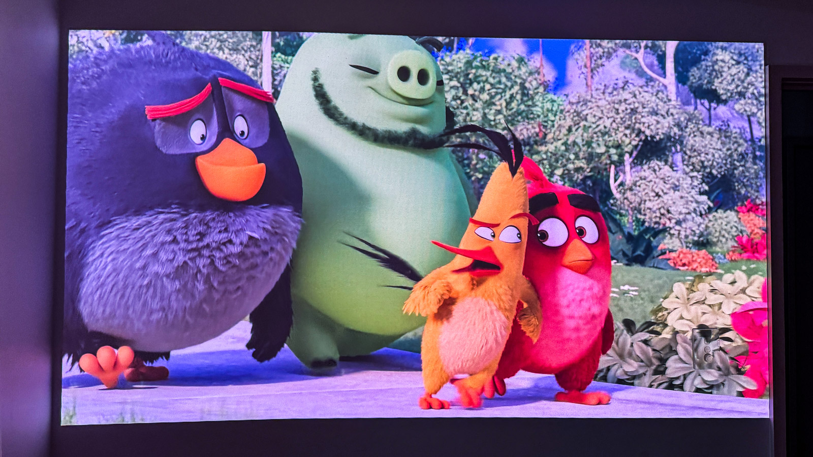A scene from The Angry Birds Movie 2 projected onto a wall.