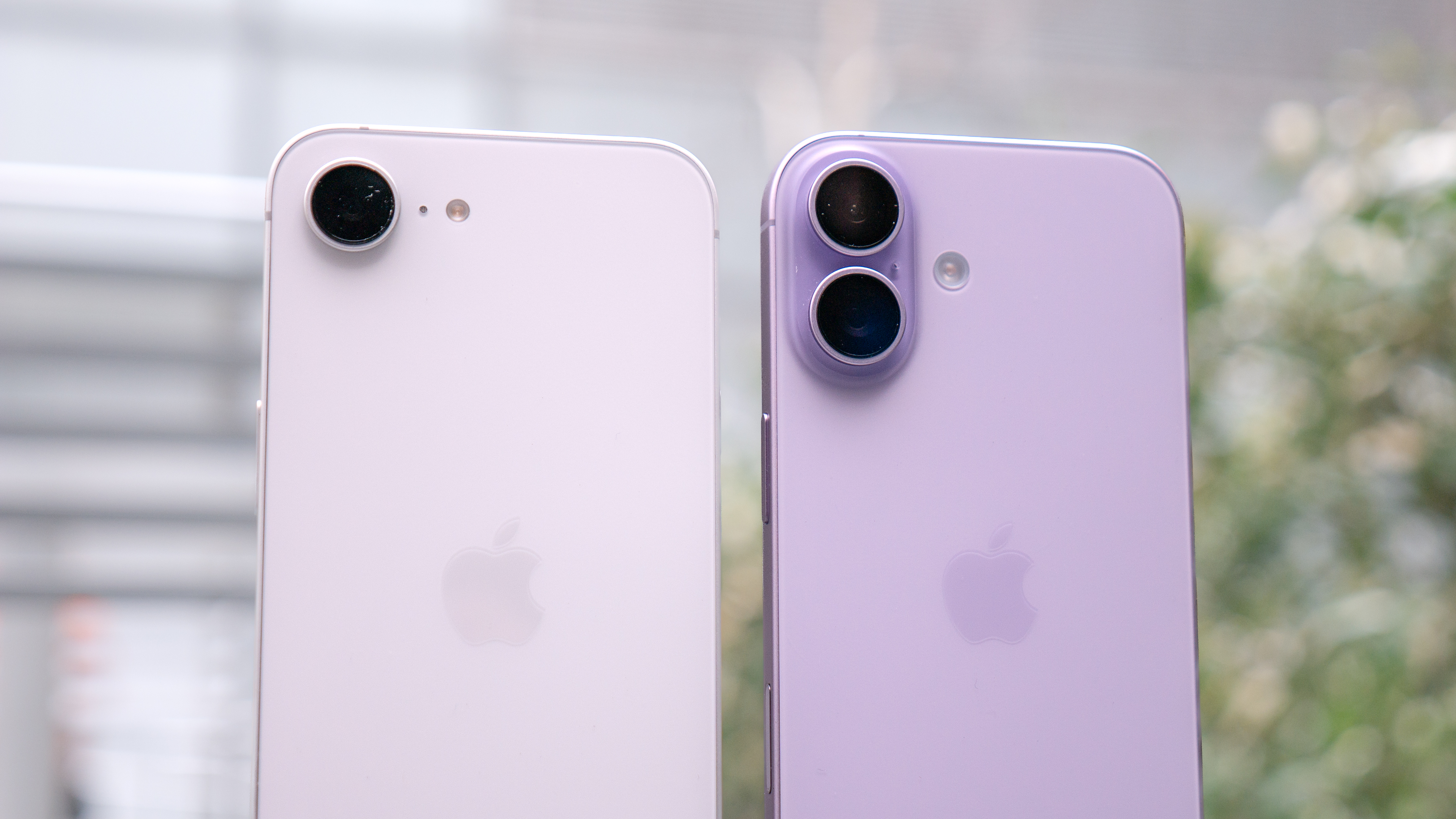 iPhone 17e vs iPhone 17 cameras.