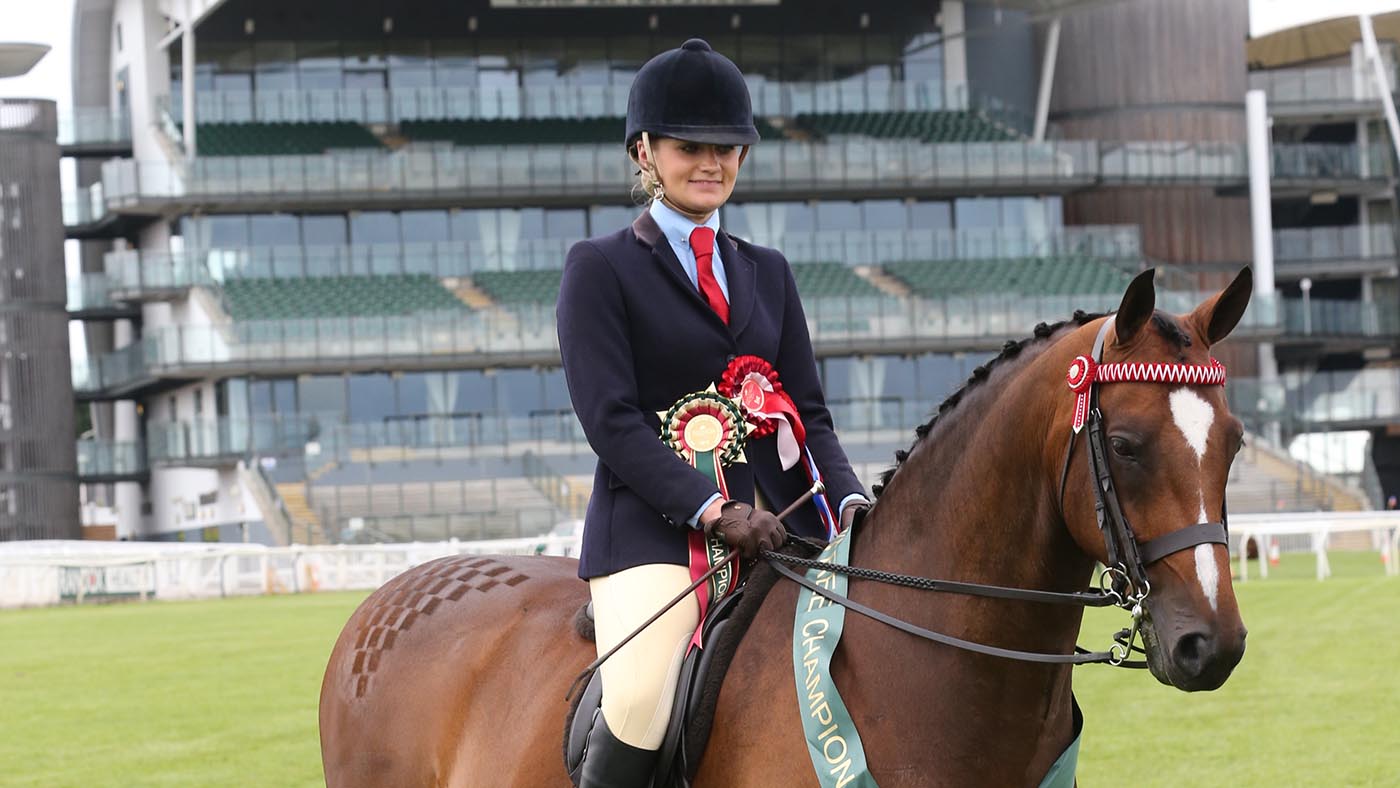 INTERMEDIATE SHOW RIDING TYPE CHAMPIONSHIP Champion 716 (631 IN CATALOGUE) BRINDLEBROOK LITTLE SCOUNDREL R : JESSICA ELY