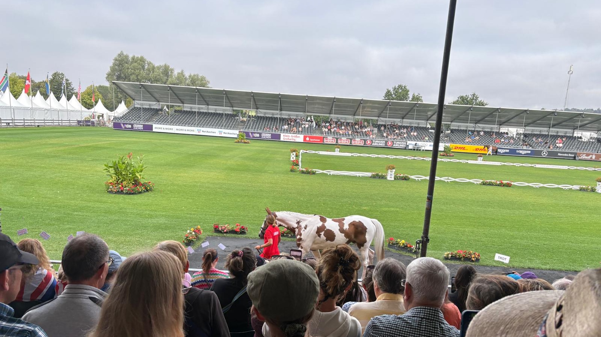 skewbald horse trotting in main arena at aachen