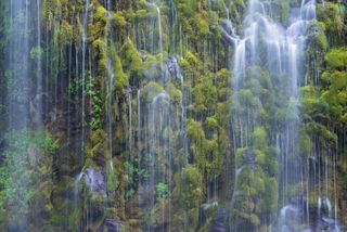 Waterfall and moss on cliff of Mossbrae Falls, Dunsmuir, California, USA