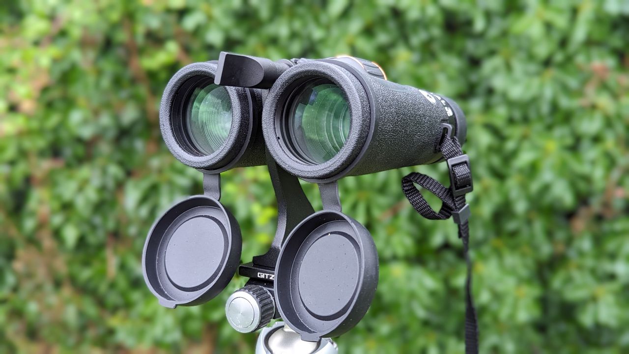 Binoculars with green foliage backdrop