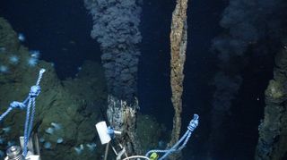 The deepest known vent, at nearly 5 kilometers (3 miles) beneath the ocean surface.