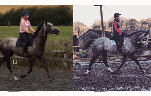 “This is Frosty The Snowman, a five-year-old 17hh ex-Flat racehorse. He won twice and was placed on a number of occasions. This is his transformation in four months since of coming off the track. I am retraining him to be an event horse with help from my university academy trainer Chris Bartle and we have been placed at every competition we’ve been to so far” — Olivia Proctor