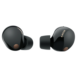 The Sony WF-1000XM5 earbuds