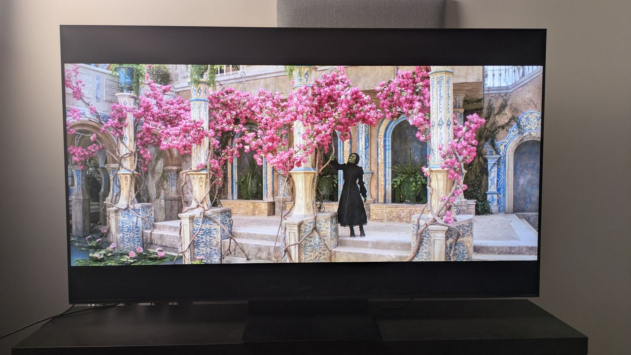 TCL C7K with Elphaba by pink flowers from Wicked