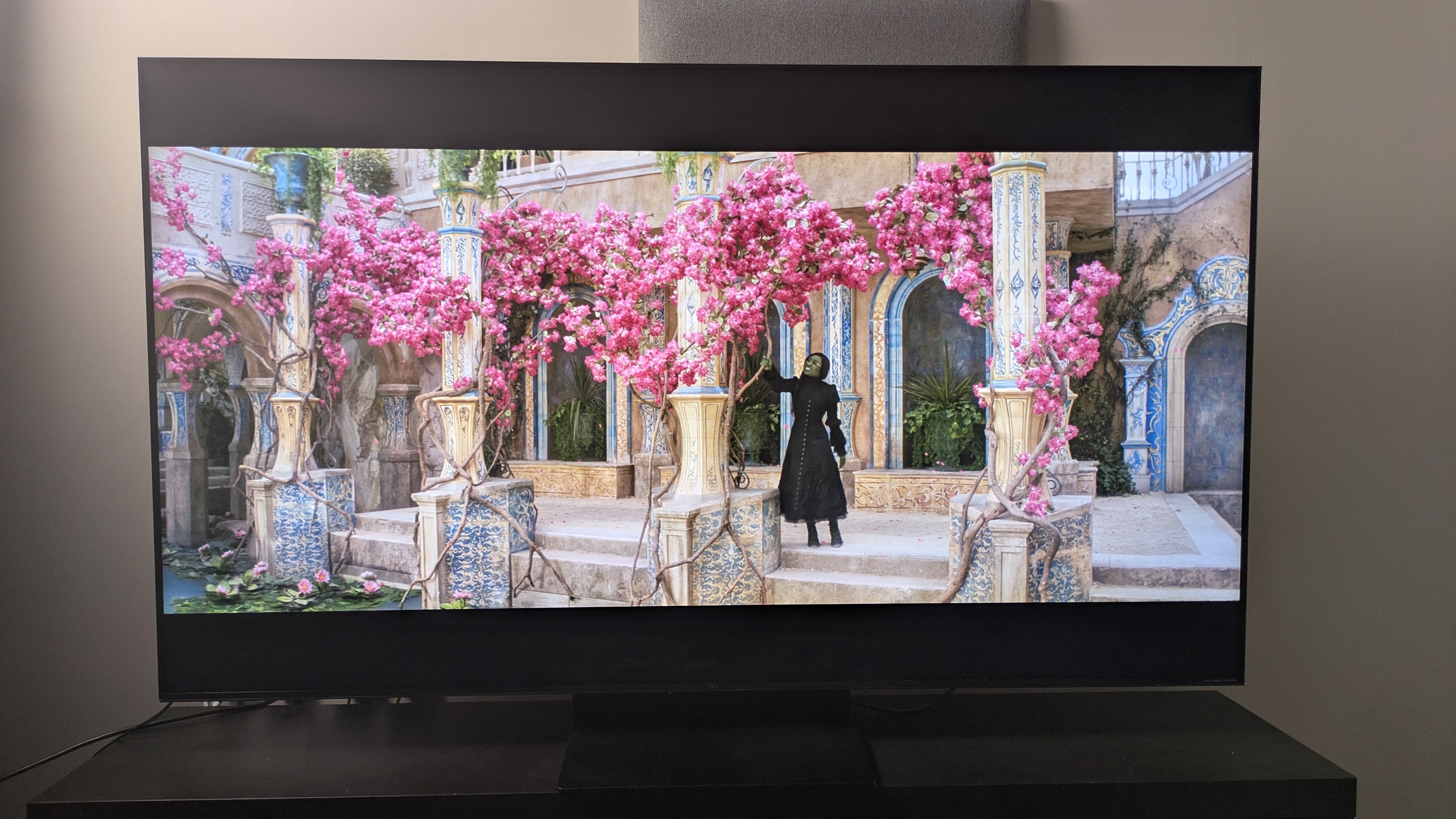 TCL C7K with Elphaba by pink flowers from Wicked