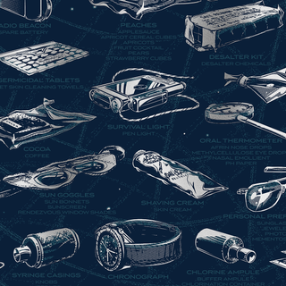 : Another close- up of the poster by Rob Loukotka that shows some of the illustrations of items carried to the moon on the Apollo 11 mission, such as the Chronograph watch and shaving cream.