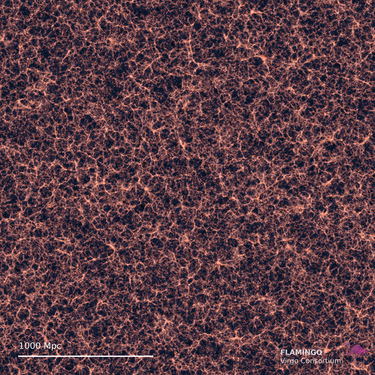 a web of trillions of galaxies is cast in various colors according to their image filter of celestial spectrum interference.
