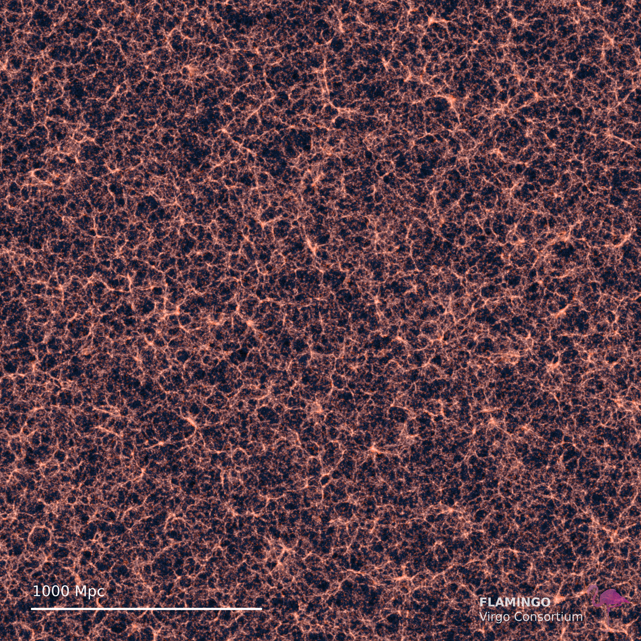 a web of trillions of galaxies is cast in various colors according to their image filter of celestial spectrum interference.