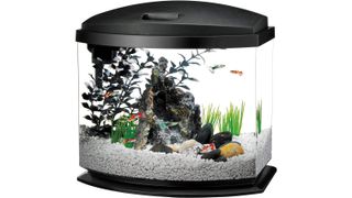 Aqueon LED MiniBow small fish tank