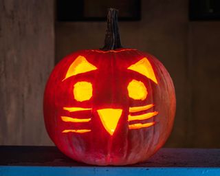 Cat face carved into pumpkin