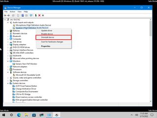 Device Manager in Safe Mode remove driver causing blue screen