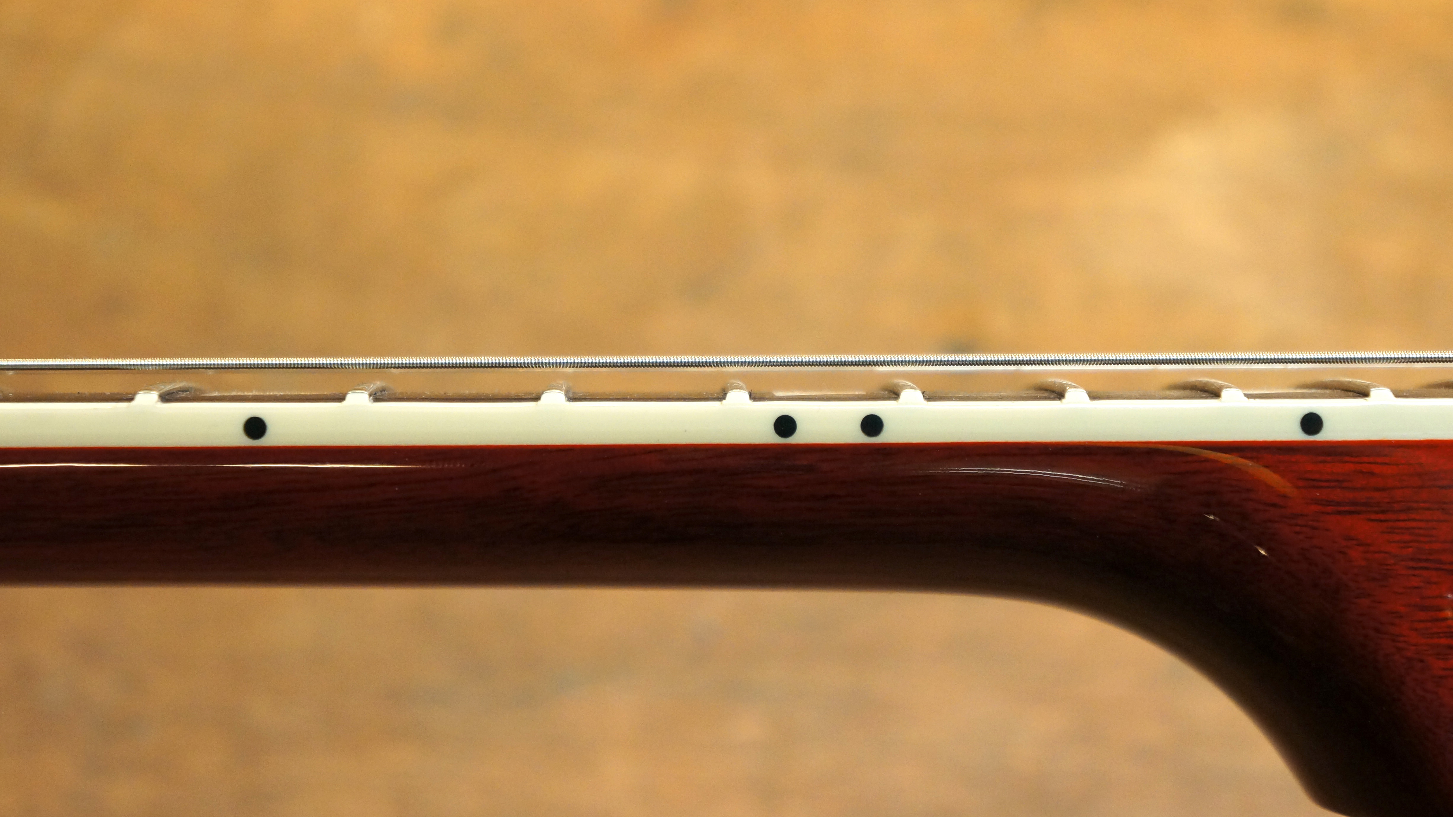 How to set up your guitar a DIY guide to intonation, truss rod, bridge