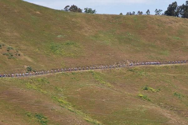 The peloton all stretched out up the Sierra Road