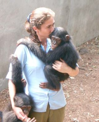 Sanctuary worker caring for young chimpanzees.