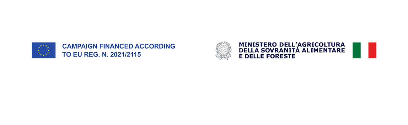 OCM logos for Italy