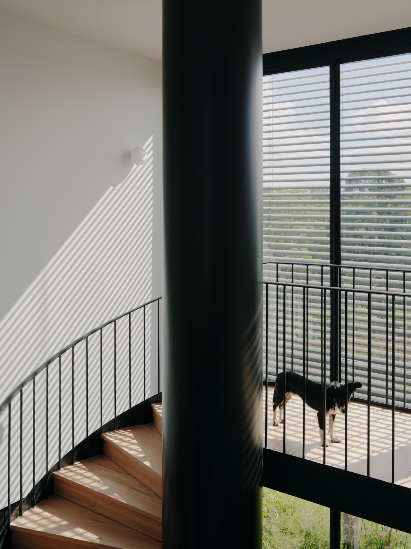 a rural house in australia, designed to be minimalist and surrounded by nature